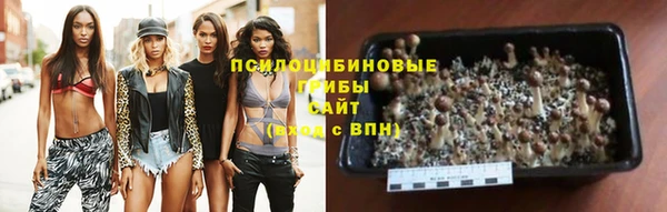 Альфа ПВП Армянск