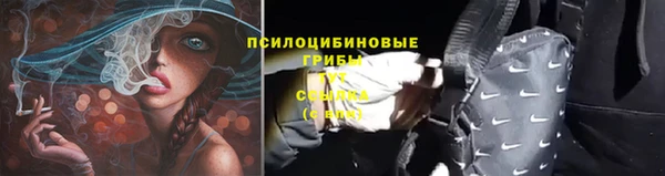ГАЛЛЮЦИНОГЕННЫЕ ГРИБЫ Арсеньев
