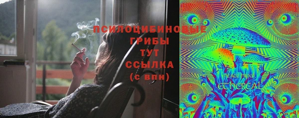 Альфа ПВП Армянск