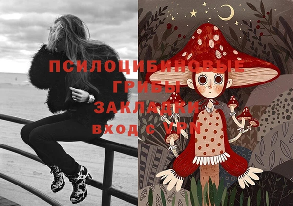ГАЛЛЮЦИНОГЕННЫЕ ГРИБЫ Арсеньев