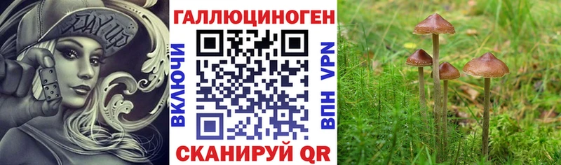Псилоцибиновые грибы Psilocybe Таруса
